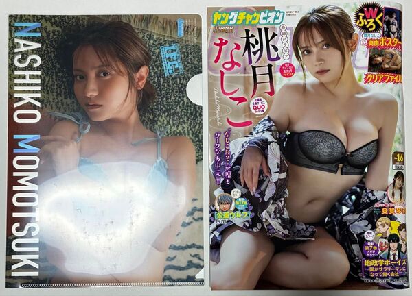 ヤングチャンピオン 2025年16号 桃月なしこ 応募券類無し クリアファイル難あり ポスター付き