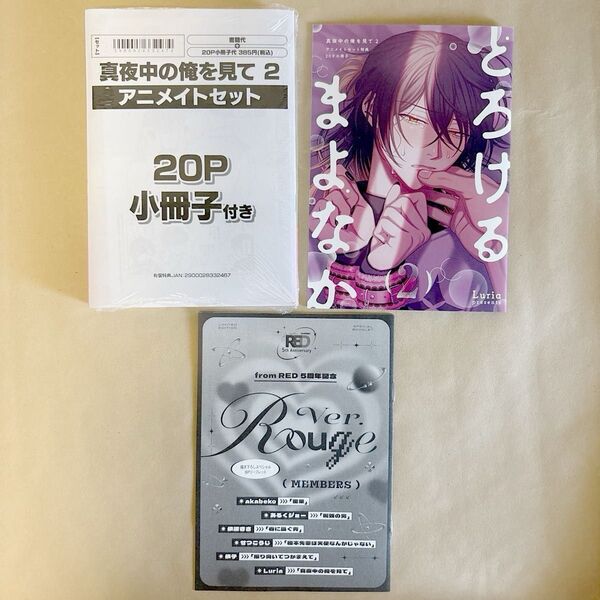 ② 真夜中の俺を見て2 Luria アニメイト特典 小冊子 fromRED 5周年記念リーフレット Rouge BL コミック