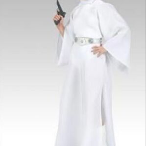 未開封 レイア スターウォーズ プレミアムフォーマット サイドショウ フィギュア ホットトイズ スタチュー