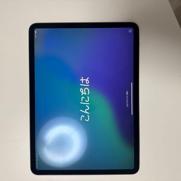 iPad Pro 11インチ 第1世代 64GB スペースグレー