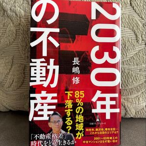 2030年の不動産 長嶋修