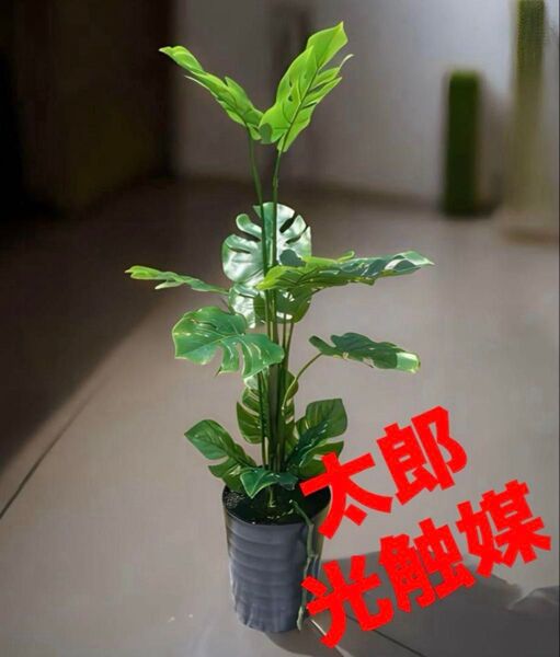光触媒 人工観葉植物 ウォールグリーン フェイクグリーン モンステラ黒8080