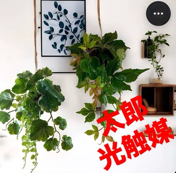 光触媒 人工観葉植物 ウォールグリーン フェイクグリーン ポトスアイビーとエンジェルゼラニューム