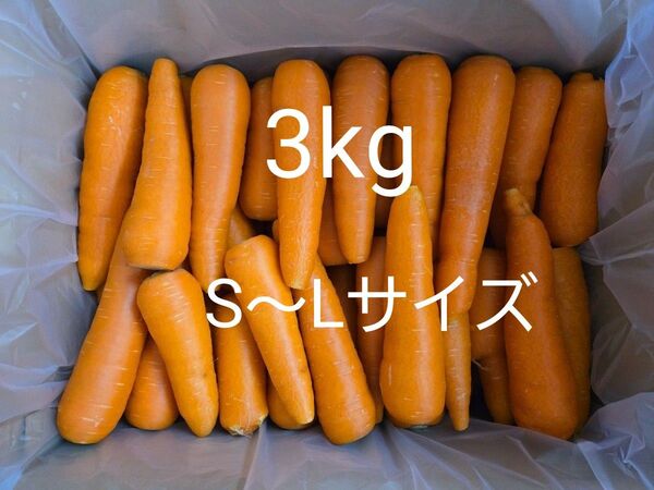 にんじん 3kg わけあり 熊本県産