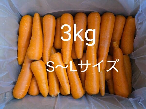 にんじん 3kg わけあり 熊本県産