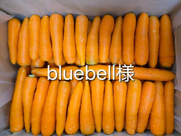 blubell様 にんじん 17kg わけあり 熊本