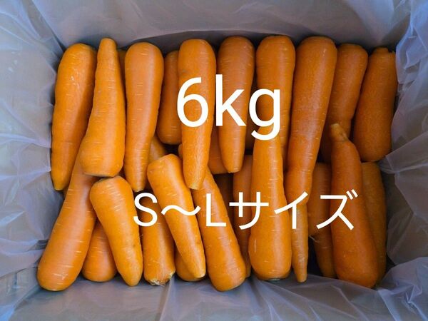 にんじん 6kg わけあり 熊本県産