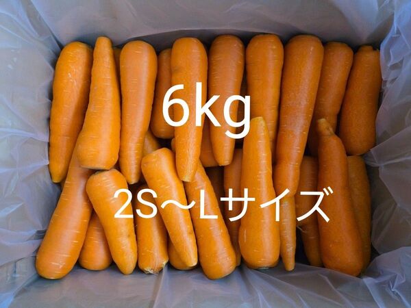 にんじん 6kg わけあり 熊本県産