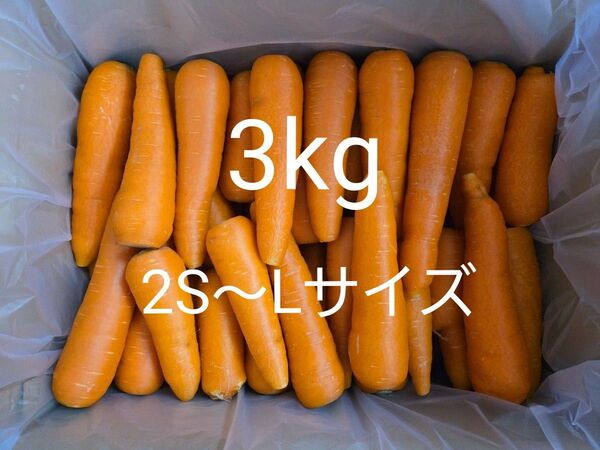 にんじん 3kg わけあり 熊本県産