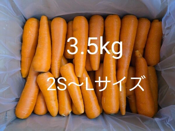 にんじん 3.5kg わけあり 熊本県産