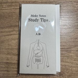 Sticky Notes Study Tips【人体】