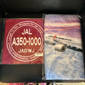 JAL A350-1000 フェイスタオル&ハンドタオル