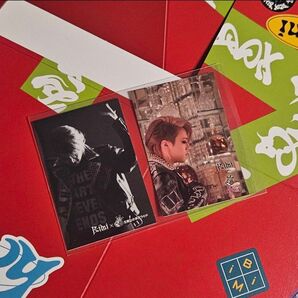 廣野凌大 Bimi ステッカー シール 箱 BOX ヒプステ キャッテリア