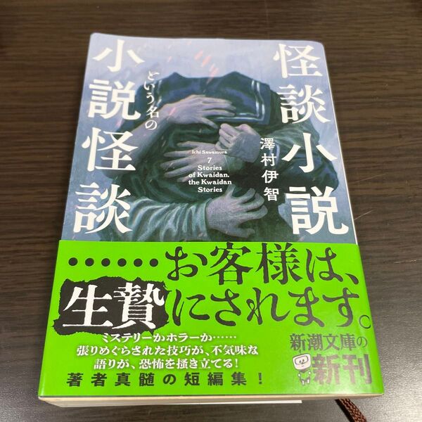 怪談小説という名の小説怪談 (新潮文庫 さ-98-1) 澤村伊智/著