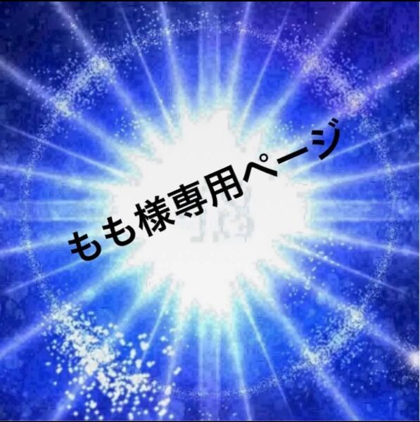 もも様お取り置き16点48740円割引2840円