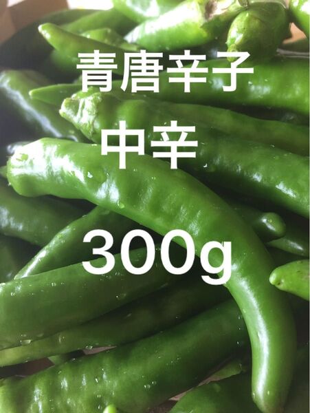 青唐辛子 中辛 300g