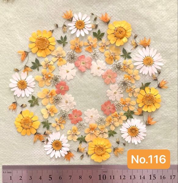 No.116 イエロー系押し花素材