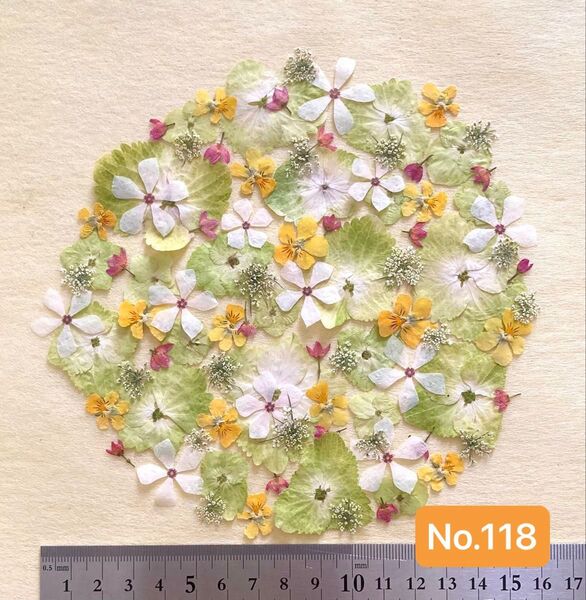 No.118 グリーン系押し花素材