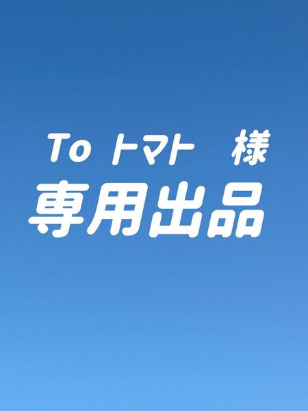 キャンメイク MLマシュマロフィニッシュパウダーW MLマットライトオークルリフィル 2個セット