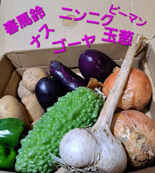 茨城県産 新鮮野菜詰め合わせセット
