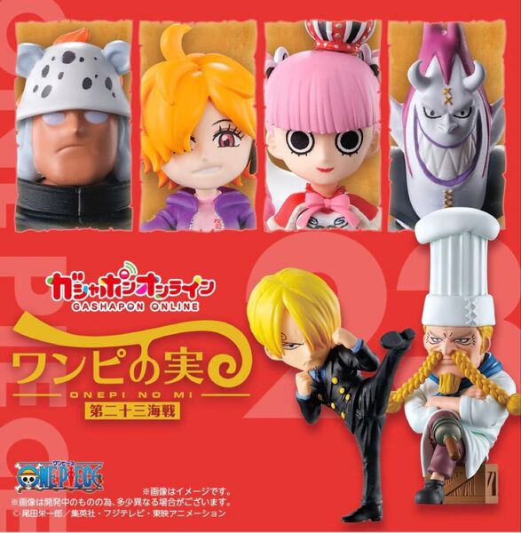ワンピの実 第二十三海戦 コンプリート