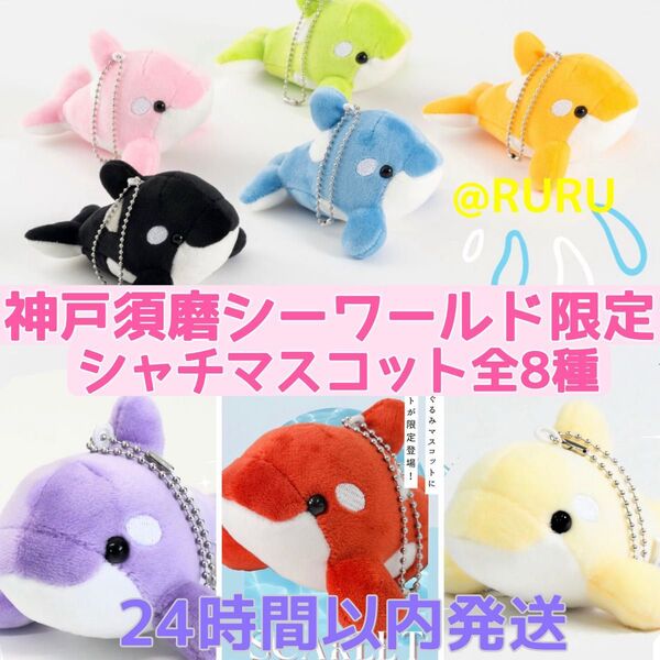 【神戸須磨シーワールド限定】シャチマスコット 全8種 コンプリート 新品未使用