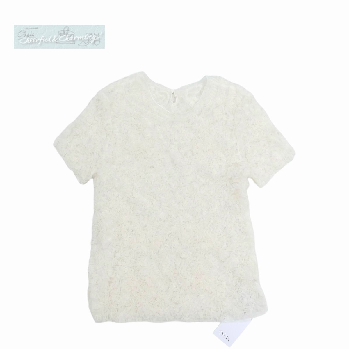 2025年最新】Yahoo!オークション -ohgaの中古品・新品・未使用品一覧