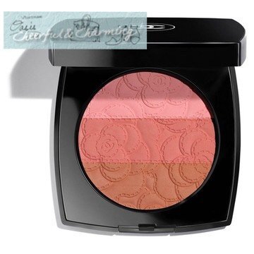 CHANEL❤ブラッシュカメリアローズ チークパウダー 未使用品 2025年最新】Yahoo!オークション - チーク、フェイスカラー