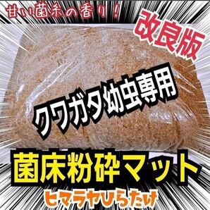 菌床粉砕クワガタマット ボトルやカップに詰めるだけ!菌糸の甘い香り!オオクワ、ヒラタ、ニジイロ、ノコギリに! クワガタ幼虫の餌