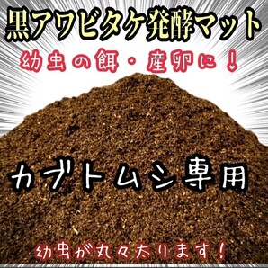幼虫が大きくなる!貴重な黒アワビタケ菌床発酵 カブトムシマット 産卵にもお薦め!栄養添加剤入り 雑虫が湧きません!かぶとむしマット