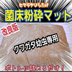 クワガタ幼虫専用 ヒマラヤひらたけ菌床マット ボトルやカップに詰めるだけ!菌糸の甘い香り!オオクワ、ヒラタ、ニジイロ、ノコギリに!