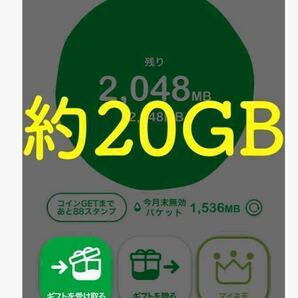 【匿名迅速】定額 マイネオ mineo パケットギフト 合計約20GB(約10GBの9999MBが2個で1セット)のギフトコード、再発行有