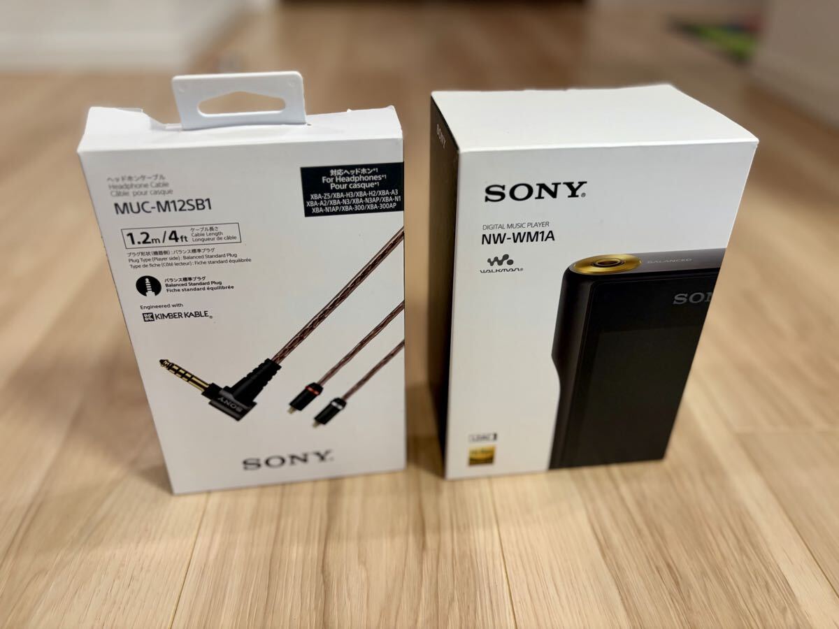 SONY NW-WM1A [128GB] オークション比較 - 価格.com