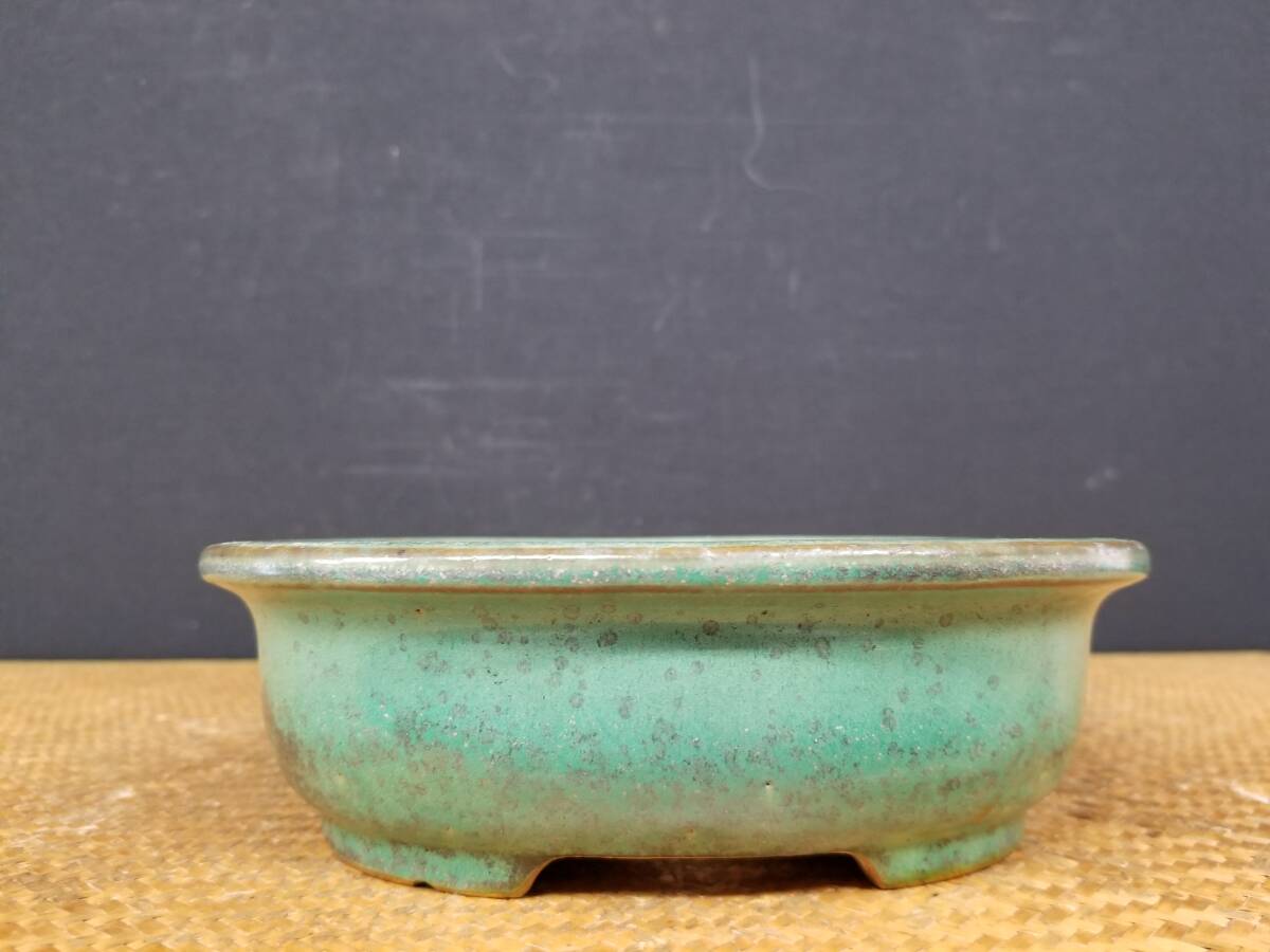 Yahoo!オークション -「舟」(盆栽) の落札相場・落札価格