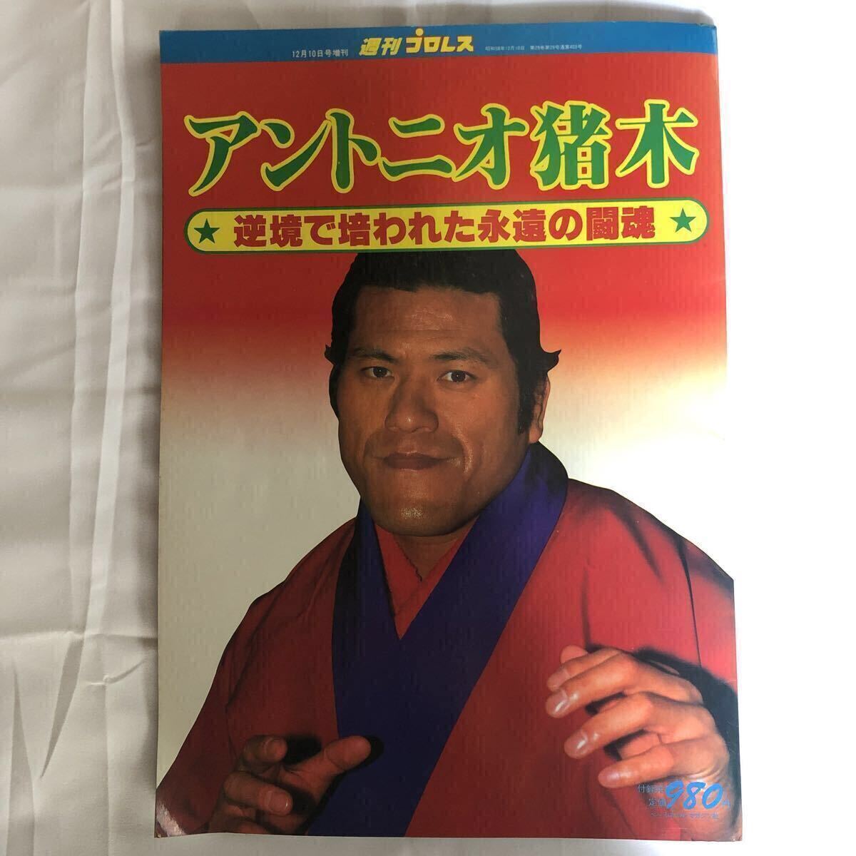 週刊プロレス　1997年当時もの　40冊セット  
4.12ドーム橋本小川 Yahoo!オークション - 週刊プロレス 1997年平成9年1 7 14 馳浩