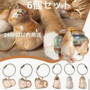6種類セット コンプリート ガチャ うちの子猫 けだまだま入れ キーホルダー 猫