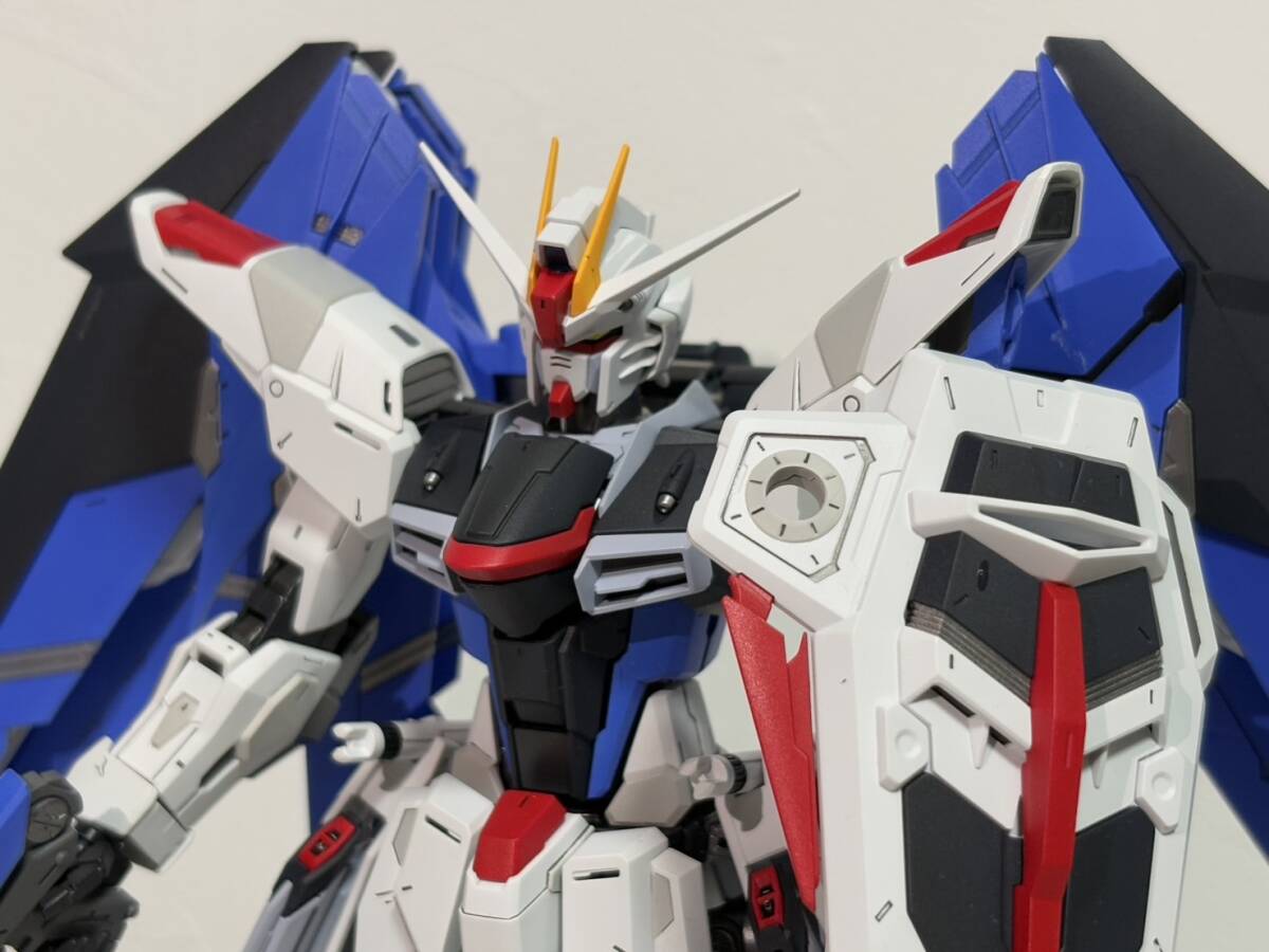 MG フリーダムガンダム　Ver.2.0 塗装完成品 MG フリーダムガンダム ver2.0 塗装完成品 MGフリーダムガンダム