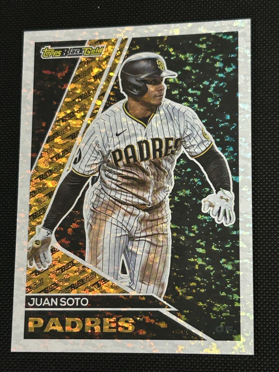 BBM タフィ・ローズ　実使用バットカード　55号　55枚限定 BBM タフィ・ローズ 実使用バットカード 55号 55枚限定 2001 BBM