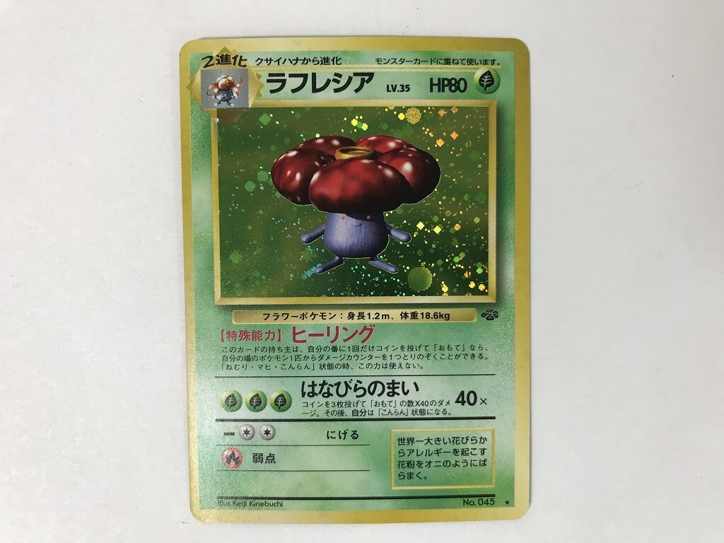 Yahoo!オークション -「ポケモンジャングル」の落札相場・落札価格