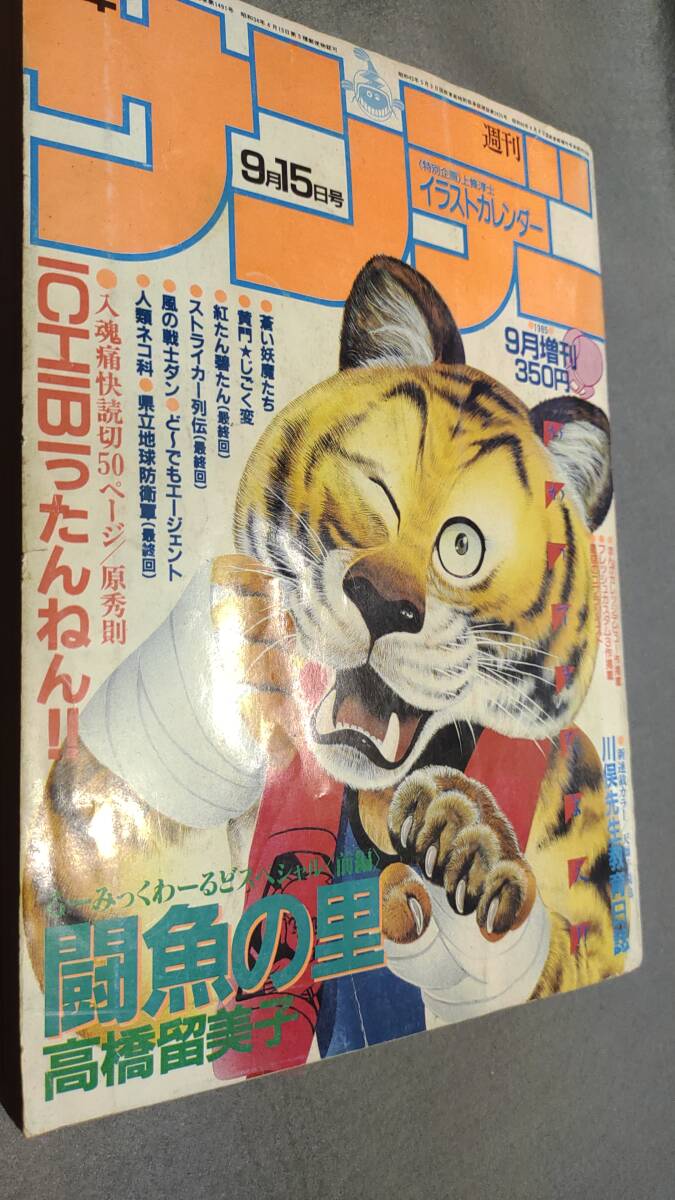 2025年最新】Yahoo!オークション -週刊少年サンデー 1985(本