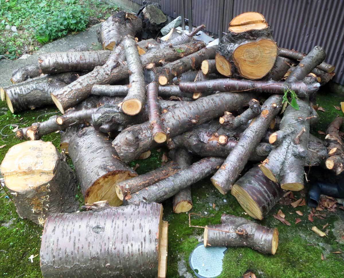 2025年最新】軽トラ - 人気の薪やアウトドア燃料を今すぐ