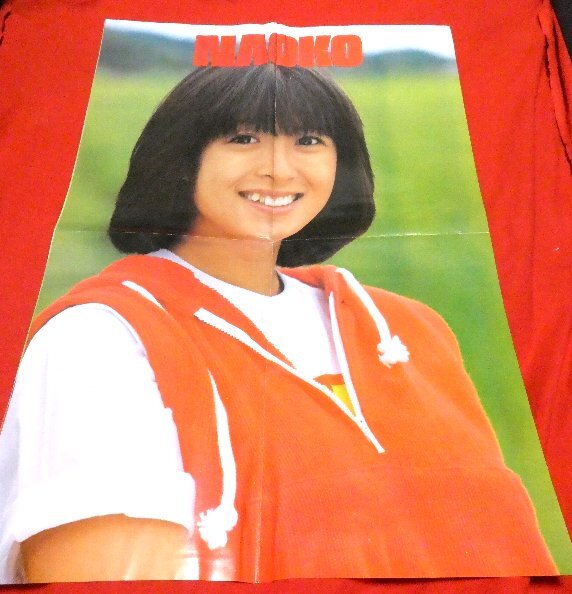 超特大　田原俊彦　ポスター　 山梨県観光連盟 556208.jpg