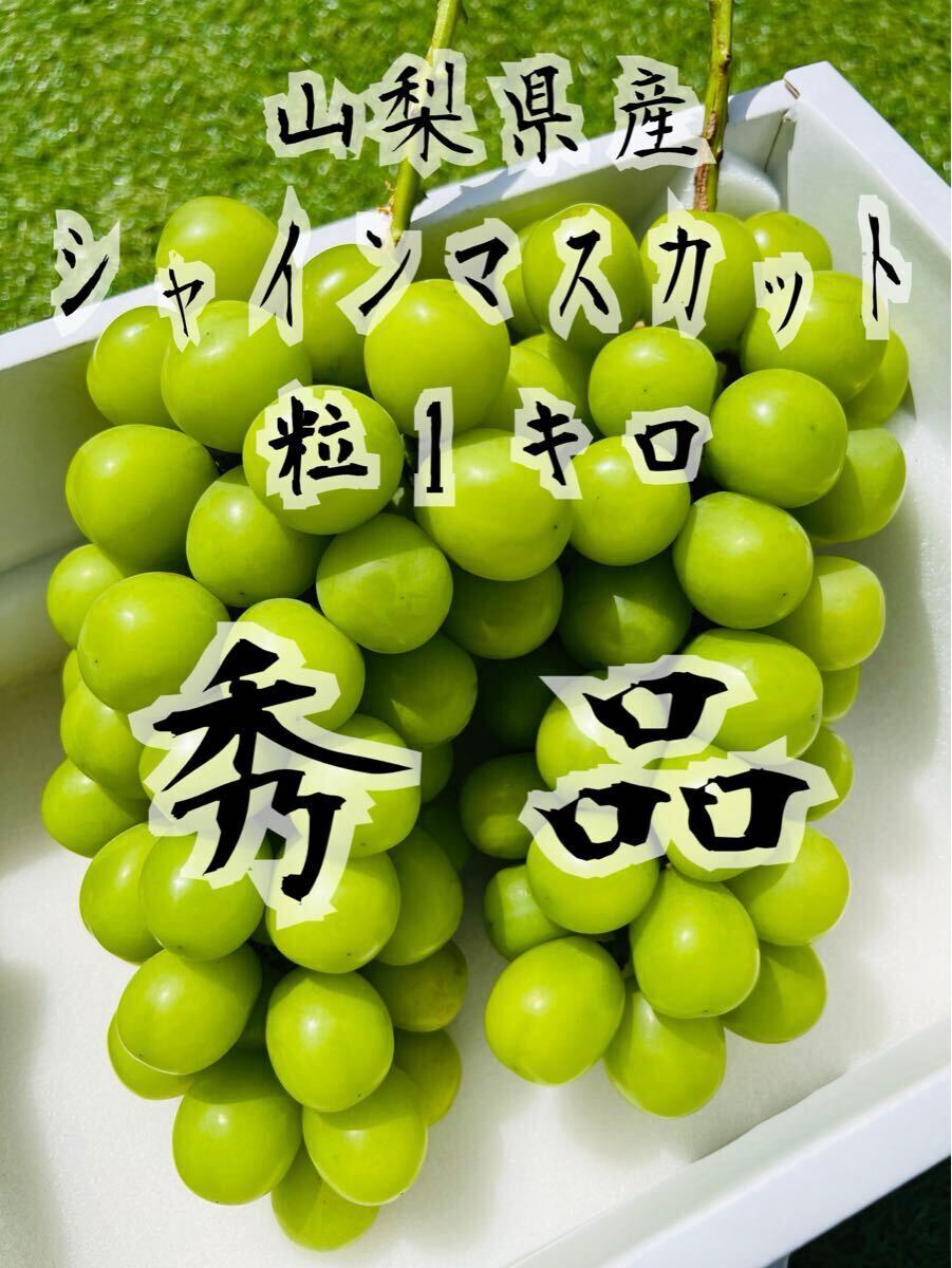 【L】山梨県産の粒　箱込1kg弱 楽天市場】山梨県 コシヒカリ（米・雑穀｜食品）の通販
