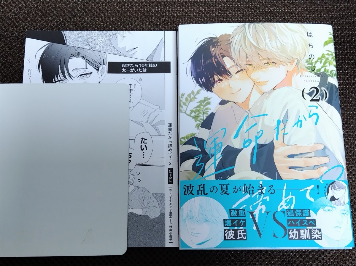 Yahoo!オークション -「p」(ボーイズラブ) (漫画、コミック)の