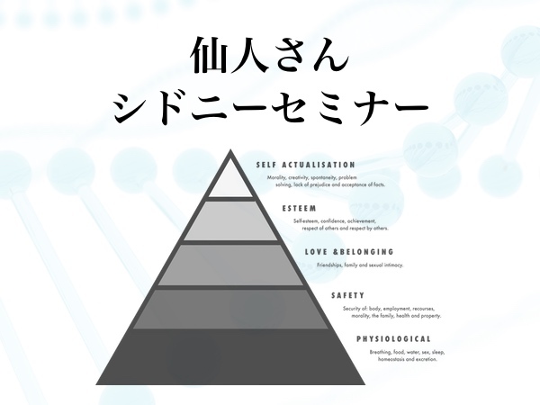 X.Buddha 次世代の教育者　仙人さん 2025年最新】Yahoo!オークション -仙人さんの中古品・新品・未