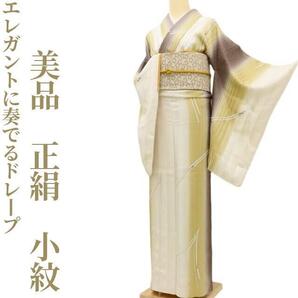 【ゆめsaku】美品 正絹 着物“差し色もリズムもエレガントに奏でるドレープ”小紋 S-49