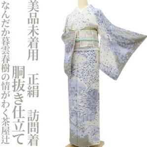 【ゆめsaku】美品未着用 胴抜き仕立て 正絹 着物“なんだか暮雲春樹の情がわく茶屋辻”訪問着 R-32