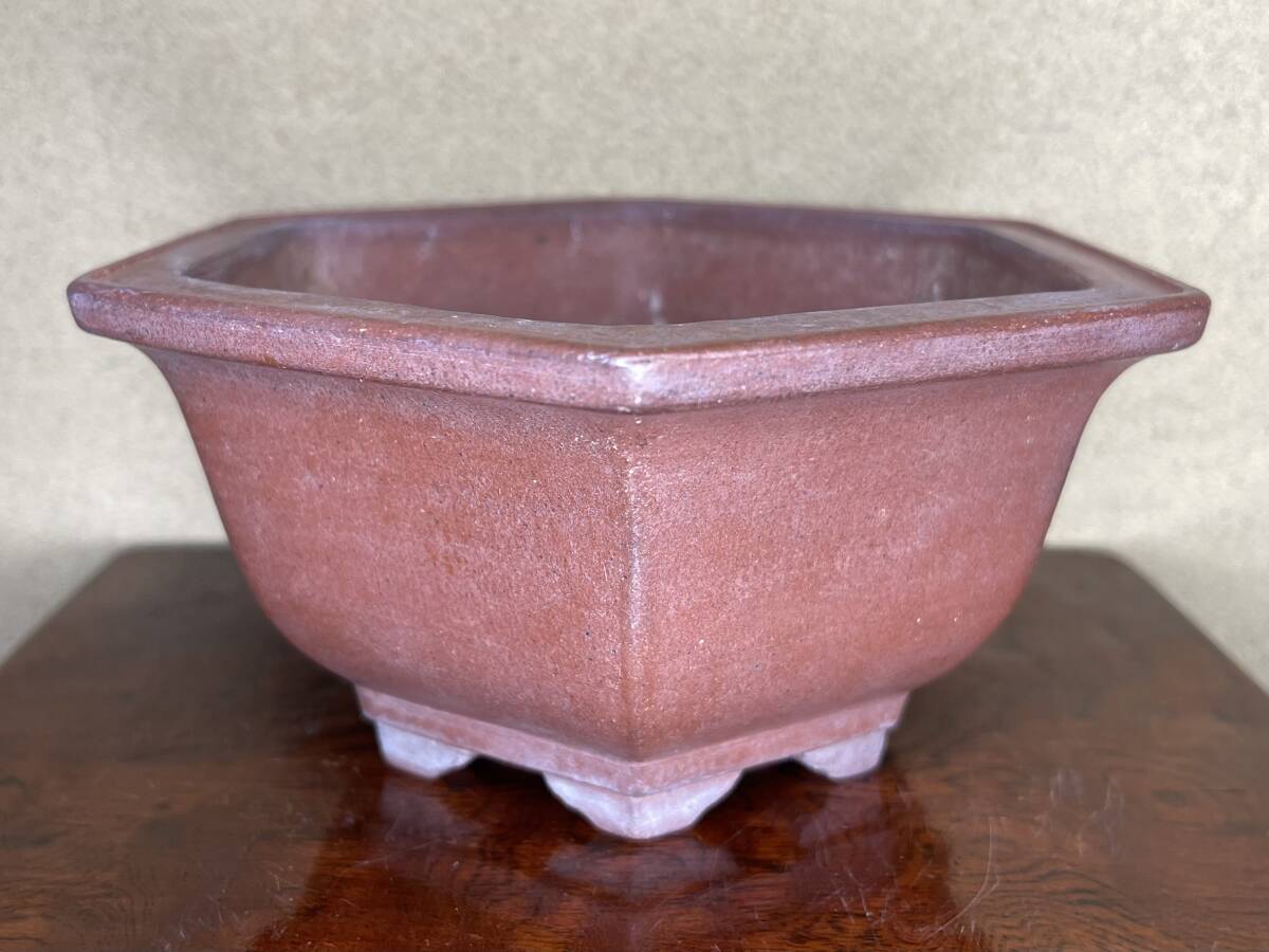 Yahoo!オークション -「壱興造記」(鉢) (盆栽用具)の落札相場