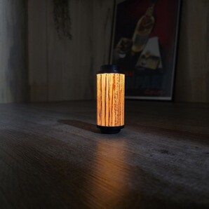 38explore ゼブラウッド カスタム ホヤ 38灯 38-kT MIYABI