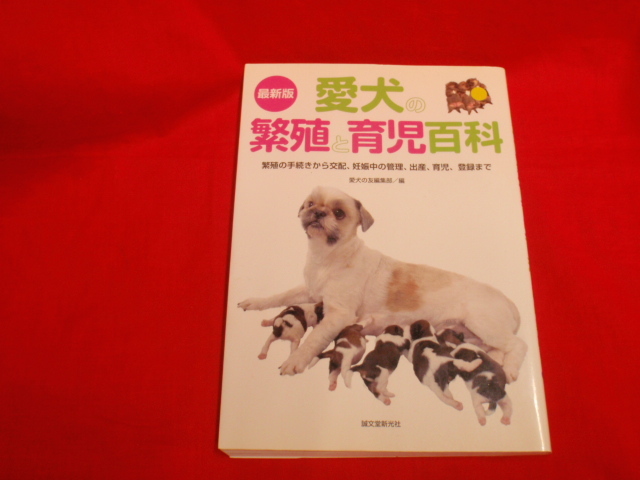 2025年最新】Yahoo!オークション - 犬(ペット、動物)の中古品